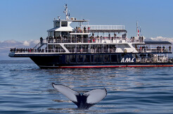 Voyages AML - 2-night stay as a couple at the Tadoussac hotel and whale watching cruise