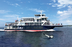 Croisières AML - Whale Watching Tour with an Upper Deck Exclusive Access in Tadoussac