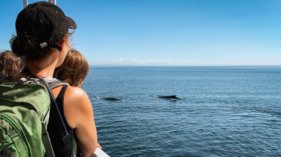 2020 Croisiere excursion baleine animaux enfant humain Sarah Maziere Authentik Canada
