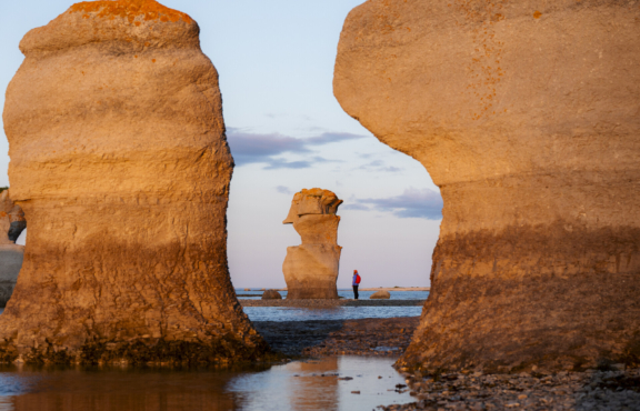 Les incontournables