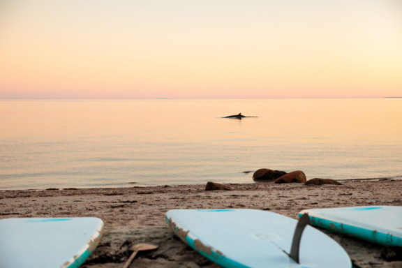 Une journée mémorable à Baie-Comeau