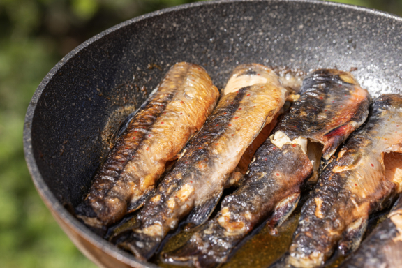 Pêcher, cuisiner, savourer