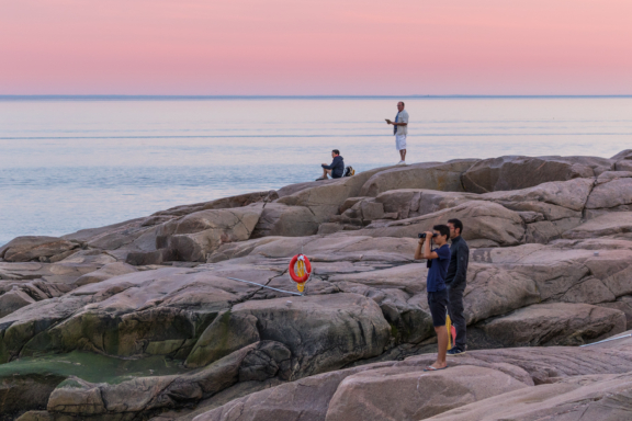 Observer les baleines depuis la rive ou en mer