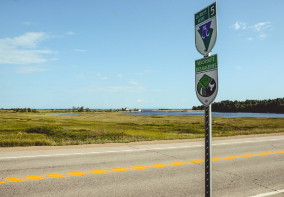 À vélo sur la Véloroute des Baleines