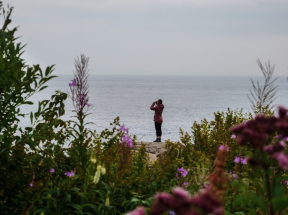 Observer le fleuve depuis la rive ou en mer
