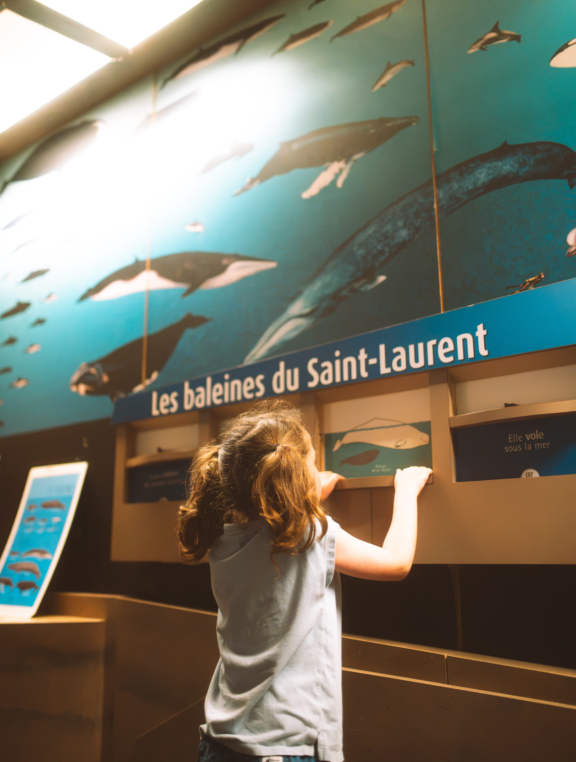 Comprendre le Saint-Laurent