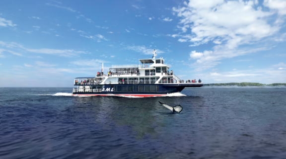 Croisières AML - Croisière aux baleines en bateau d'observation au départ de Tadoussac - À partir de : 124,99$