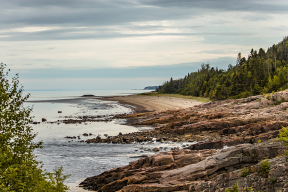 Plage de Forestville