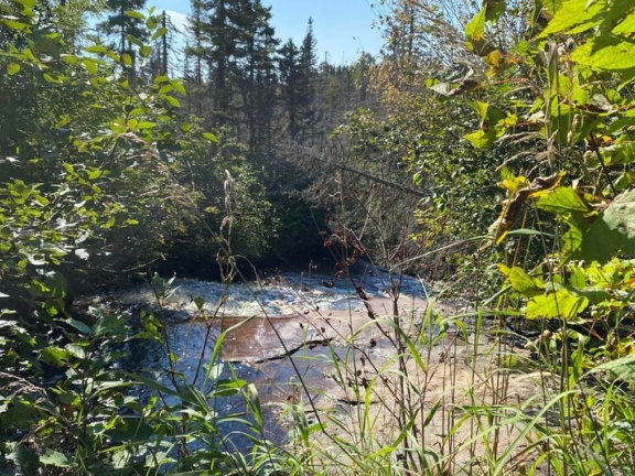 Sentier multifonctionnel Girard-Vachon